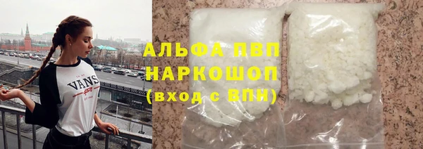 сатива Аркадак