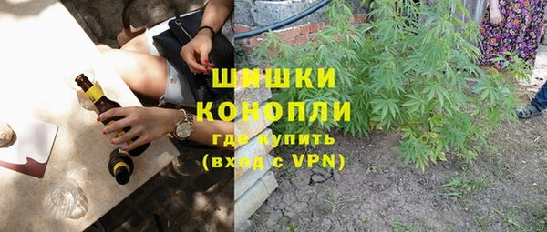 сатива Аркадак