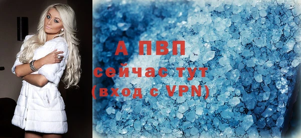 сатива Аркадак