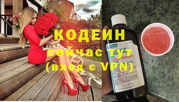 индика Армянск
