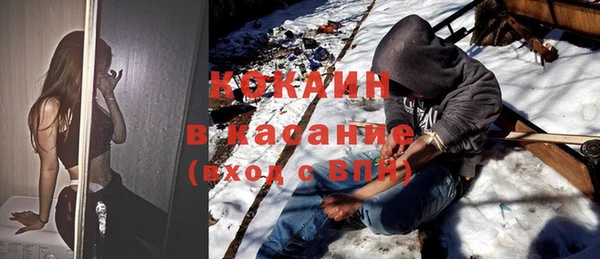 сатива Аркадак